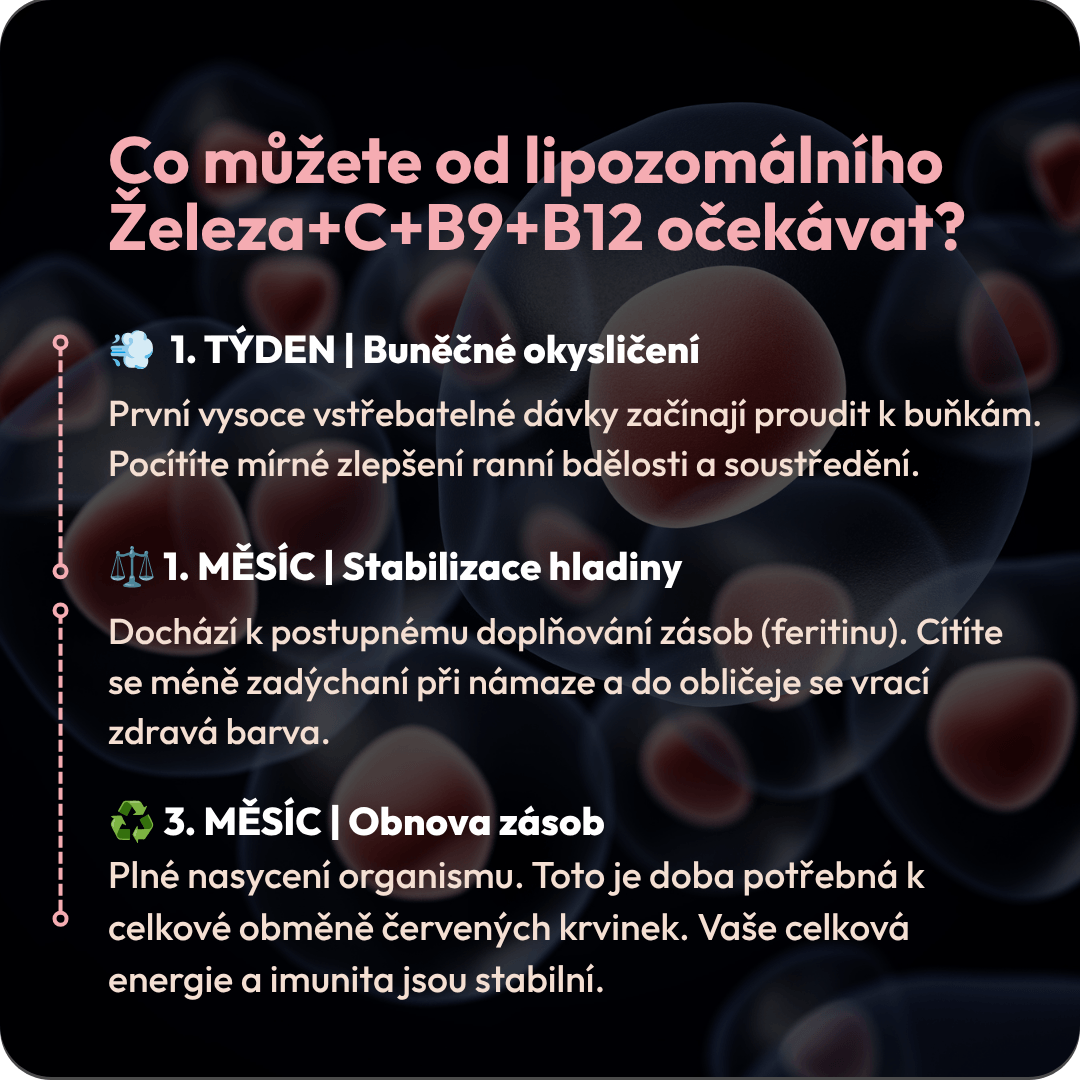 Železo+C+B9+B12 4 CZ